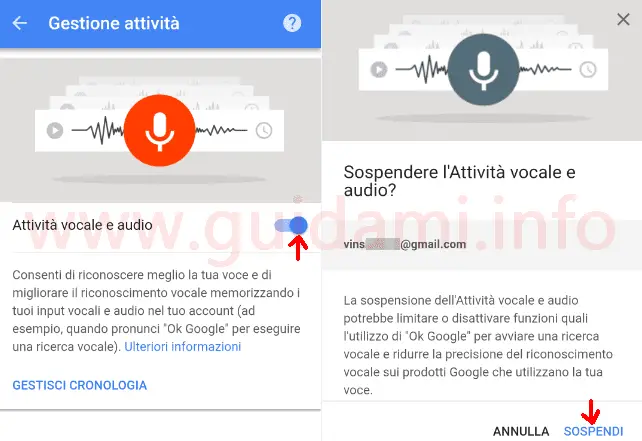 Disattivare la cronologia Attività vocale e audio dell'account Google