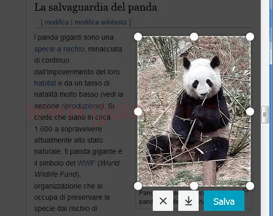 Firefox cattura screenshot con selezione manuale porzione immagine