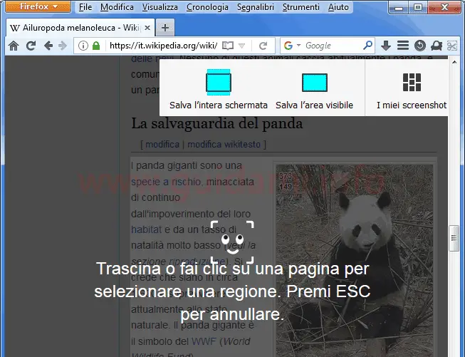 Firefox opzioni cattura screenshot