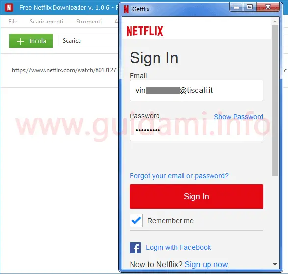 Free Netflix Downloader finestra di accesso a Netflix