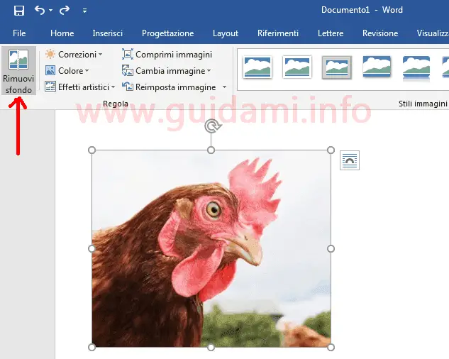 Microsoft Word pulsante funzione Rimuovi sfondo immagine