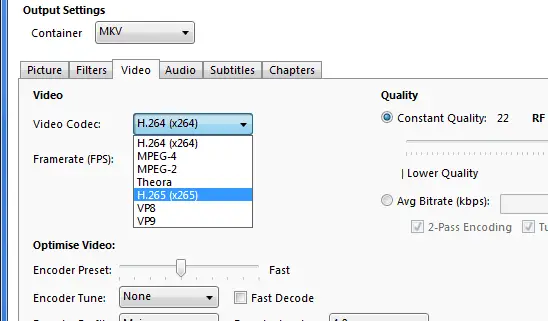 Opzioni formato contenitore e codec video HandBrake