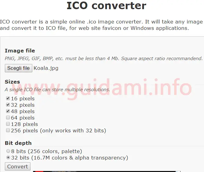 Sito web Icoconverter