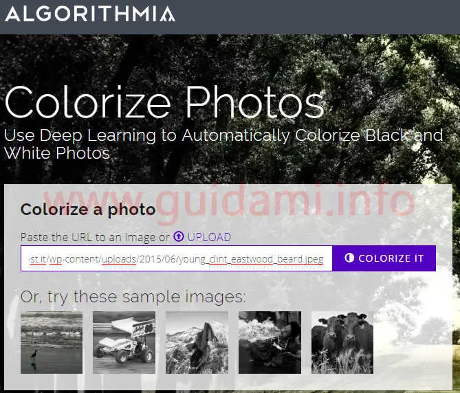 Sito web algorithmia colorize photos