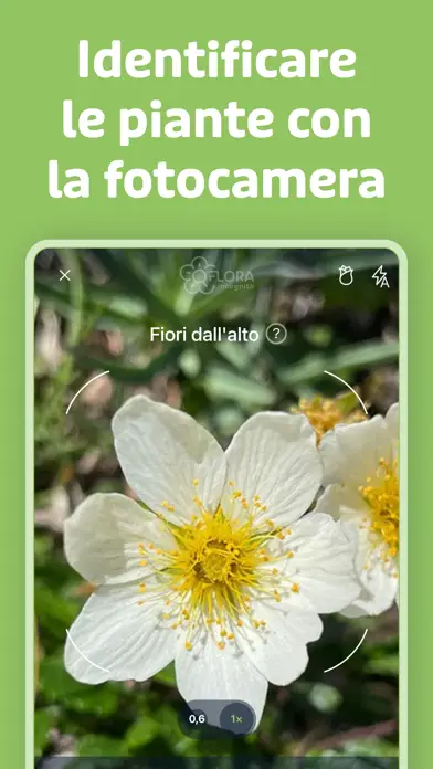 Flora-Incognita2