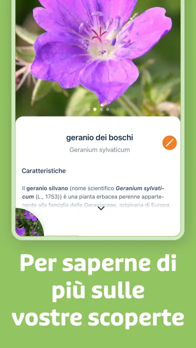 Flora-Incognita3
